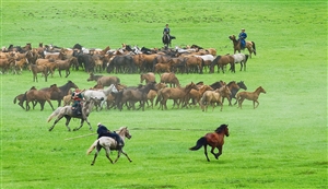 呼伦贝尔 醉美草原天堂