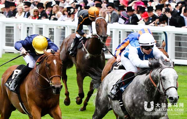 香港赛马“步步友”欧战折戟 “经济学家”勇夺女皇安妮锦标 大陆赛马网2.jpg