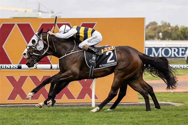 澳洲一级赛金鹰锦标赛2022年奖金增加至3900万人民币 大陆马.jpg