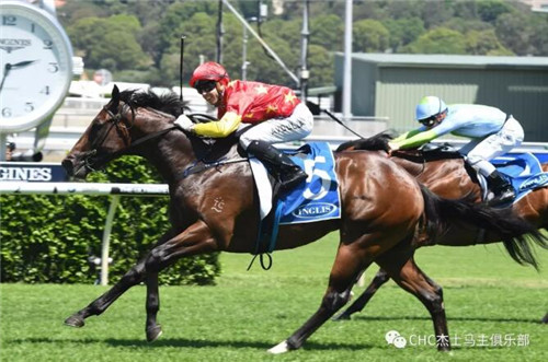 盘点CHC有望冲击澳洲未来五项高奖金赛事的年轻赛驹6.jpg