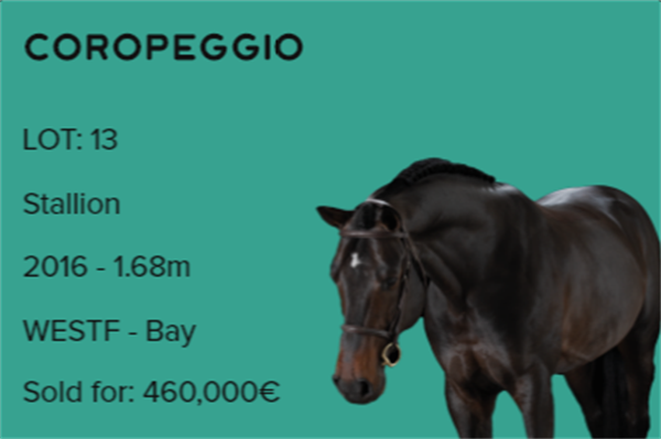 19匹马超2300万成交额!全球顶级温血马拍卖会完美收官! 大陆马 (20).png