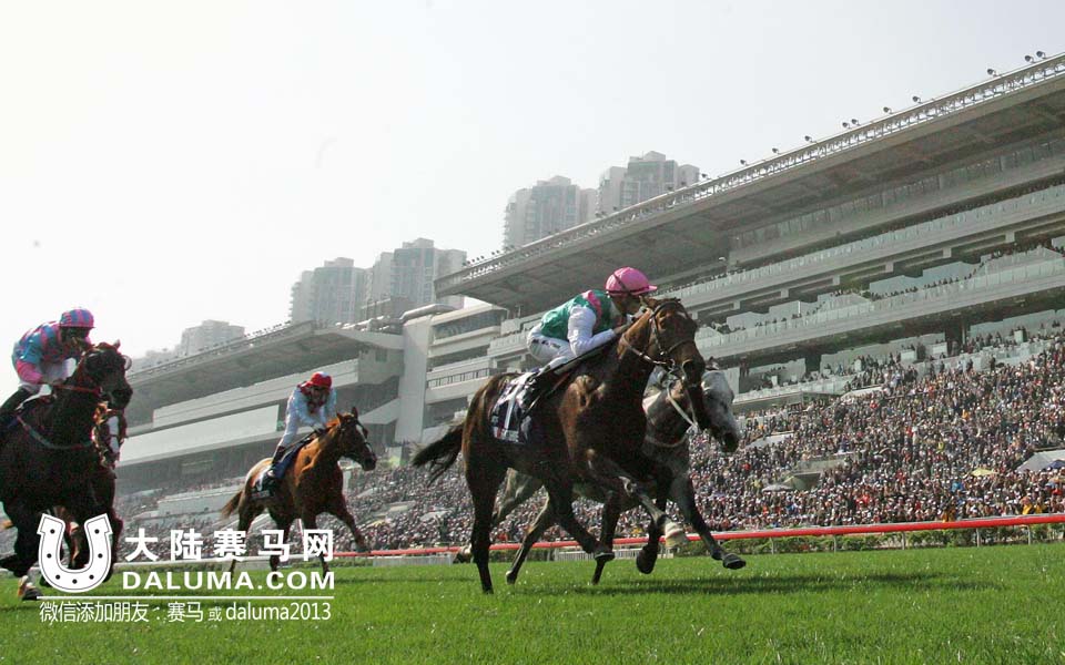 2014浪琴表香港瓶国际赛马一级赛高清组图 大陆赛马网
