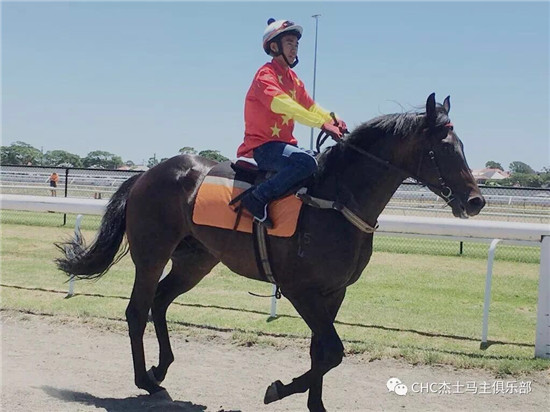 中国骑师谭勇2-大陆赛马网
