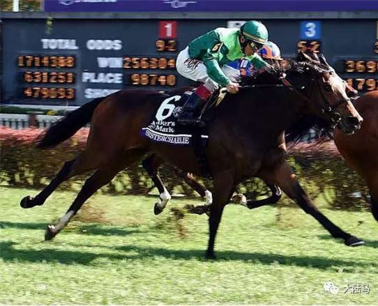 “赛马奥斯卡”揭晓,CHC再登世界舞台中央:“正义”获美国日蚀奖年度马王17-大陆赛马网.jpg