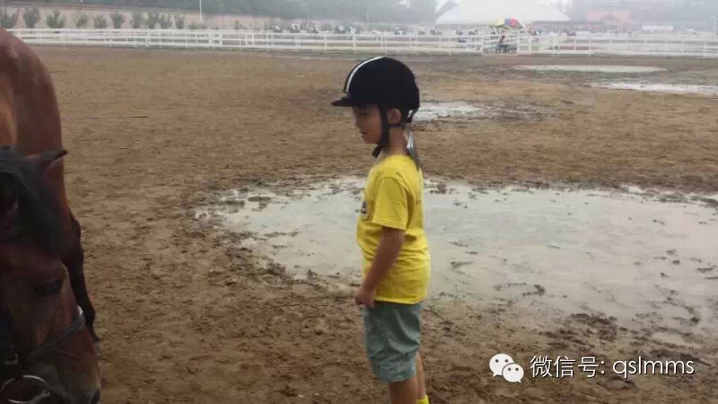 中联骑士联盟《我与马儿亲密接触》摄影大赛第四期投票 大陆赛马网5.jpeg