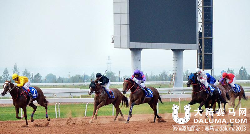 第十届民运会马术比赛 内蒙古代表队摘首金