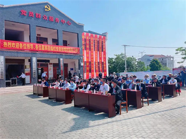 聚星集团10万亩种植计划再下一城!红安高粱基地正式启动! 大陆马 (3).jpg