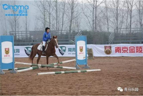 江苏省委省政府出台《“健康江苏2030”规划纲要》 马术获支持1.jpg