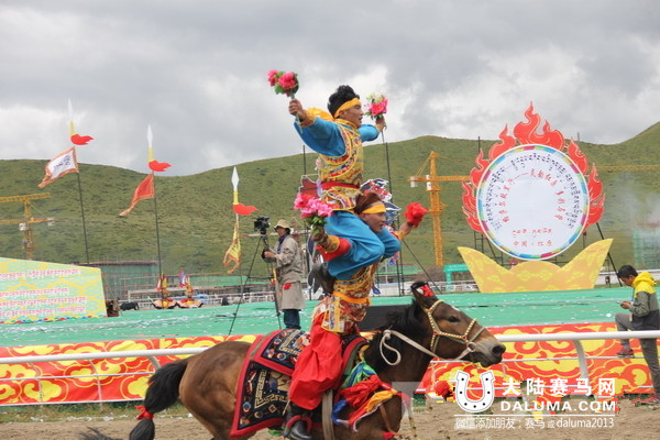 红原藏族男儿秀马术 民运会多次夺冠1.jpg