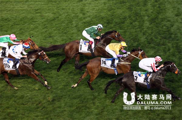 迪拜赛马世界杯 香港赛马收获两亚军虽败犹荣 大陆赛马网.jpg