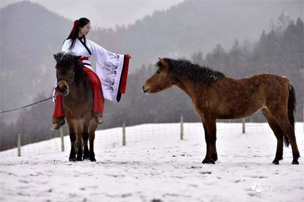 陕西马协成功换届!王和平升任主席:陕西马协以“百家、千马、万人”为目标! 大陆马 (3).jpg