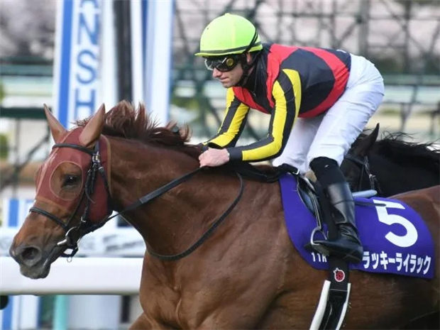 香港瓶亚军赛马“旺紫丁”重返胜轨夺得一级赛大阪杯 大陆赛马网.jpg