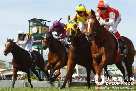 马业已成全球新风尚 各国马业现状你知道吗?3.png