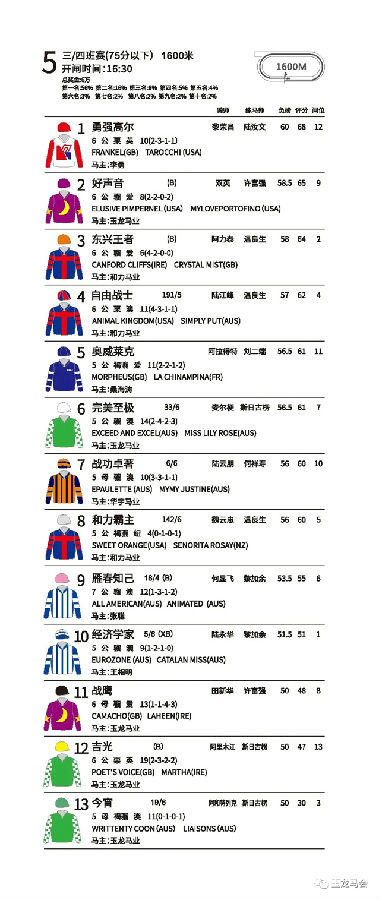 玉龙马业,国产马赛事,玉龙公开赛,赛马,马术,玉龙赛马 (12).jpg