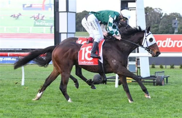 “伽利略”子嗣“玉龙队长”澳洲2400米两连胜:12战3冠3亚2季2殿战绩亮眼 大陆赛马网 (2).jpg