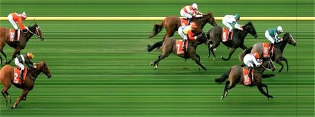 玉龙马业2岁雌马“清醒”澳洲夺首冠:17万澳币购自神奇百万 大陆赛马网 (1).jpg