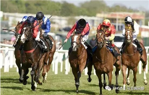 与英女王赛马同场竞技:CHC旗下“指挥官”惜败女王赛驹获亚军1.jpg