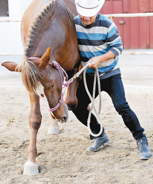 秦岭脚下牧马人 大陆赛马网4.jpg