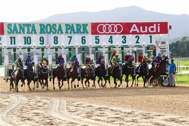 加勒比“疯狂”的可不止是海盗!那里的赛马超出我们想象! 大陆赛马网 (9).jpg