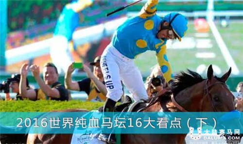 2016世界纯血马坛16大看点(下).jpg
