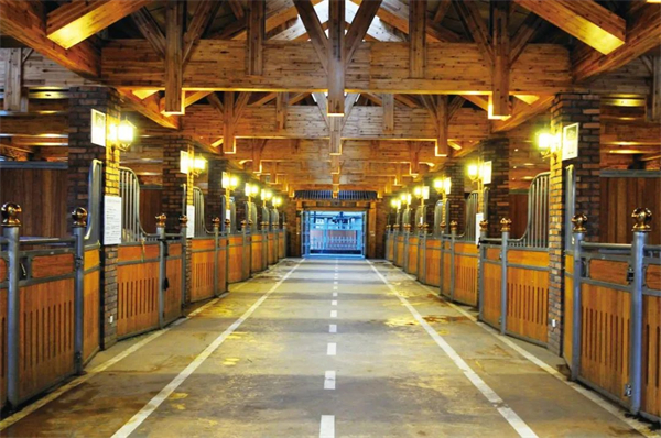 北京威斯恩国际马术设备有限公司:中国马术设备领军企业! 大陆马 (7).jpg