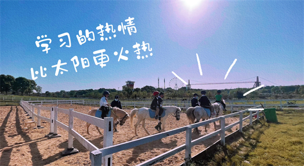 青马·校园马术社团 和大陆马一起骑马踏春!不负春光,不负童年! 大陆马 (5).png