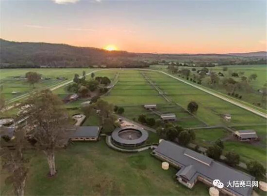 Aquis雅士牧场,五连胜,赛马,日光,350万澳币,金拖鞋 大陆马 大陆赛马网 (12).jpg