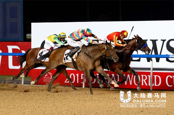 迪拜赛马世界杯 香港赛马收获两亚军虽败犹荣 大陆赛马网3.jpg