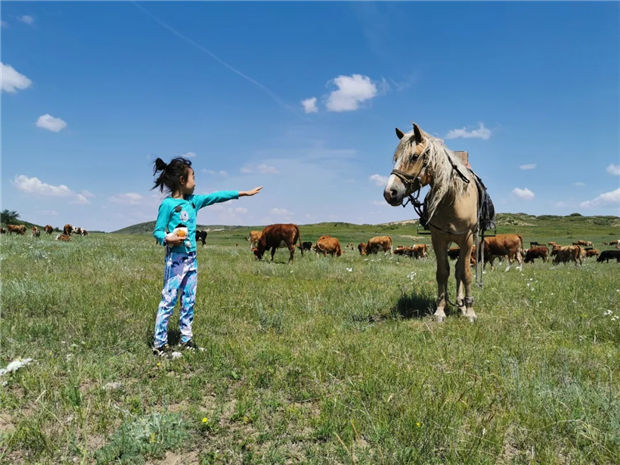 5岁小女孩胡妤暄:迫不及待想参加比赛,与我的马儿一起庆祝胜利! 青马网大陆马 (1).jpg
