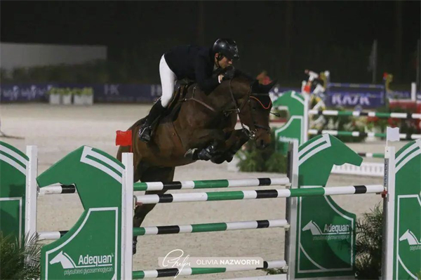 加拿大骑手策骑17岁赛马称雄瑟莫尔4万美元奖金马术大奖赛 大陆马.jpg