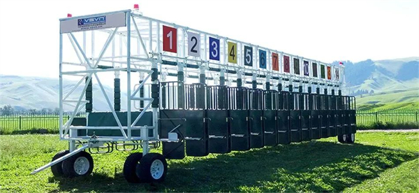 北京威斯恩国际马术设备有限公司:中国马术设备领军企业! 大陆马 (32).jpg