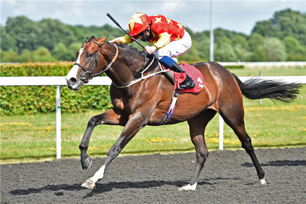 2000米全程领放!CHC杰士马主俱乐部三岁公马“干邑”英国勇夺第三冠 大陆赛马网.jpg