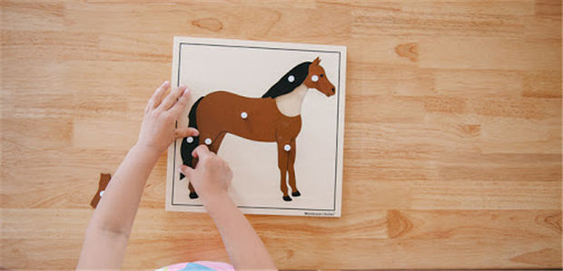 小孩要上学前班,你知道马儿也要接受“学前教育”么? 青马网大陆马 (2).jpg