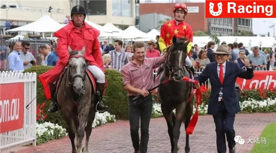 CHC“俄国先锋”50万澳币一级赛再夺冠-大陆赛马网.jpg
