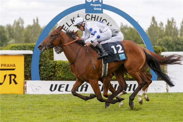 捷克共和国赛马会宣布5月18日恢复因新冠疫情暂停的速度赛马比赛 大陆赛马网.jpg