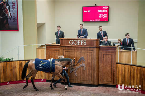 高夫斯英国试跑马拍卖会最高售价160万 多项指标下降.jpg