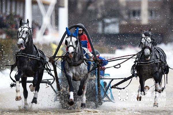 俄罗斯举行“莫斯科之冬”三驾马车比赛 大陆赛马网.jpg