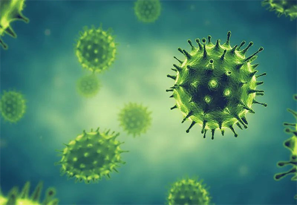 美国加利福利亚州爆发EHV-1疫情 两匹马被安乐死 大陆马.jpg