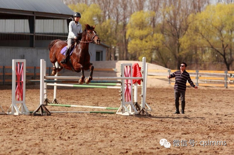 中联骑士联盟《我与马儿亲密接触》摄影大赛第四期投票 大陆赛马网.jpeg
