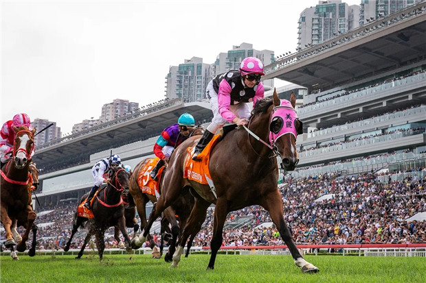 你的小目标实现了么?一匹马率先赚到一个亿! 大陆赛马网 (5).jpg