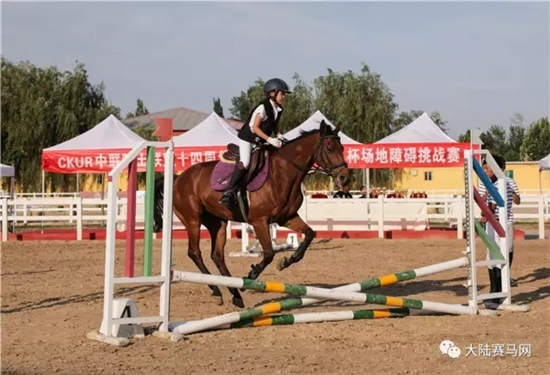 合作国际学校开办马术课程:CKUR中联骑士联盟再推新举措.webp (3).jpg