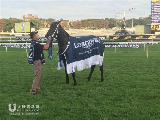 “天涯歌女”(Lucia Valentina)问鼎400万澳币女皇伊利莎白锦标赛冠军 大陆赛马网3.jpg
