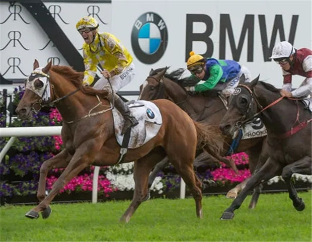 网购马靠谱么?昨天一匹网上淘的“不孕马”35倍爆冷夺200万奖金大赛! 大陆赛马网 (2).jpg