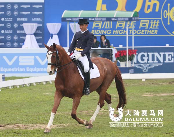顾兵:盛装舞步骑手梯队建设匮乏 大陆赛马网.jpg