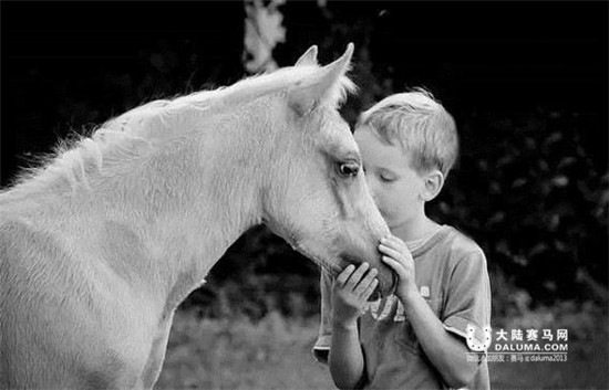 学习马术可以收获什么? 马儿教给我们的12条戒律大陆赛马网.jpg