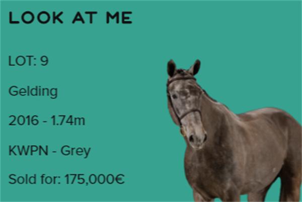 19匹马超2300万成交额!全球顶级温血马拍卖会完美收官! 大陆马 (6).png