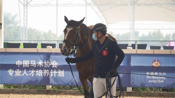 陕西马协成功换届!王和平升任主席:陕西马协以“百家、千马、万人”为目标! 大陆马 (1).jpg