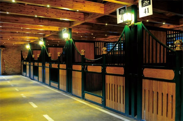 北京威斯恩国际马术设备有限公司:中国马术设备领军企业! 大陆马 (9).jpg