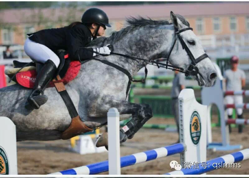 中联骑士联盟《我与马儿亲密接触》摄影大赛第五期投票 大陆赛马网.jpeg