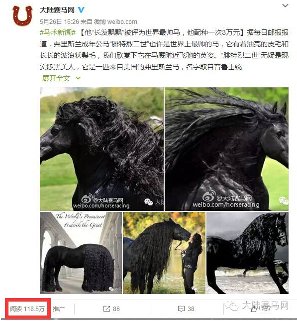 中国马术俱乐部微信影响力排行榜TOP10 7.25第33周 3.jpg